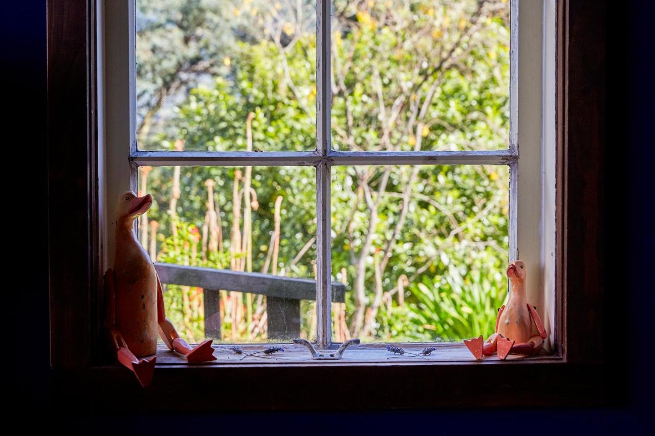 Kaikoura, Cubby House Stay Zewnętrze zdjęcie